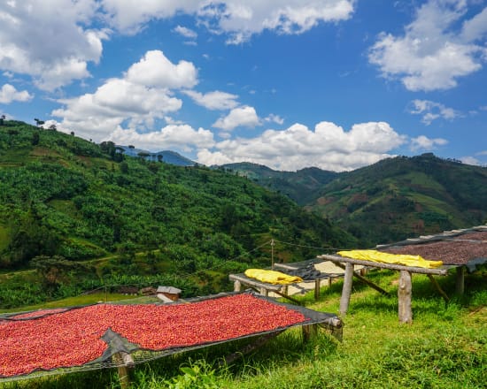 Burundi Kayanza Gahahe