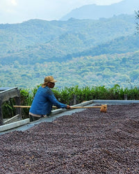 El Salvador Mauricio Salaverria Natural