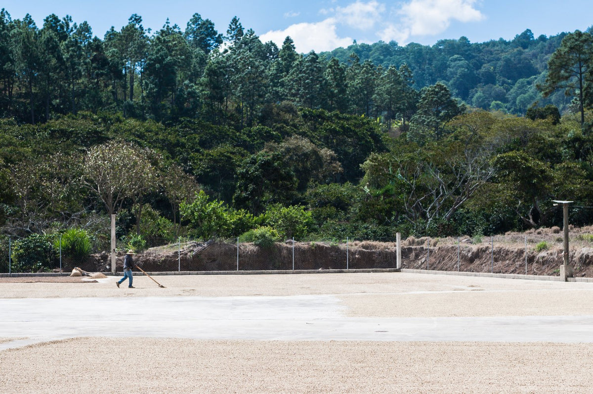 Guatemala Huehuetenango El Mirador